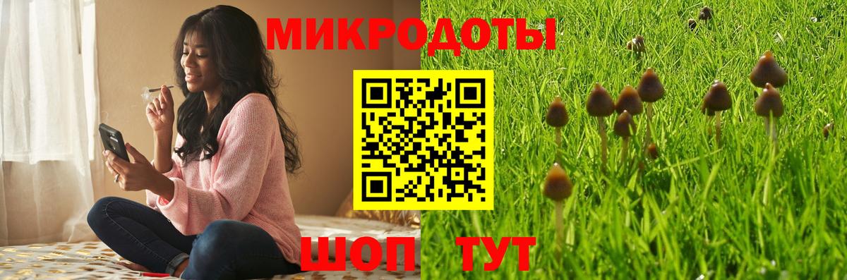 Губкинский  Псилоцибиновые грибы Cubensis  Вход с VPN 