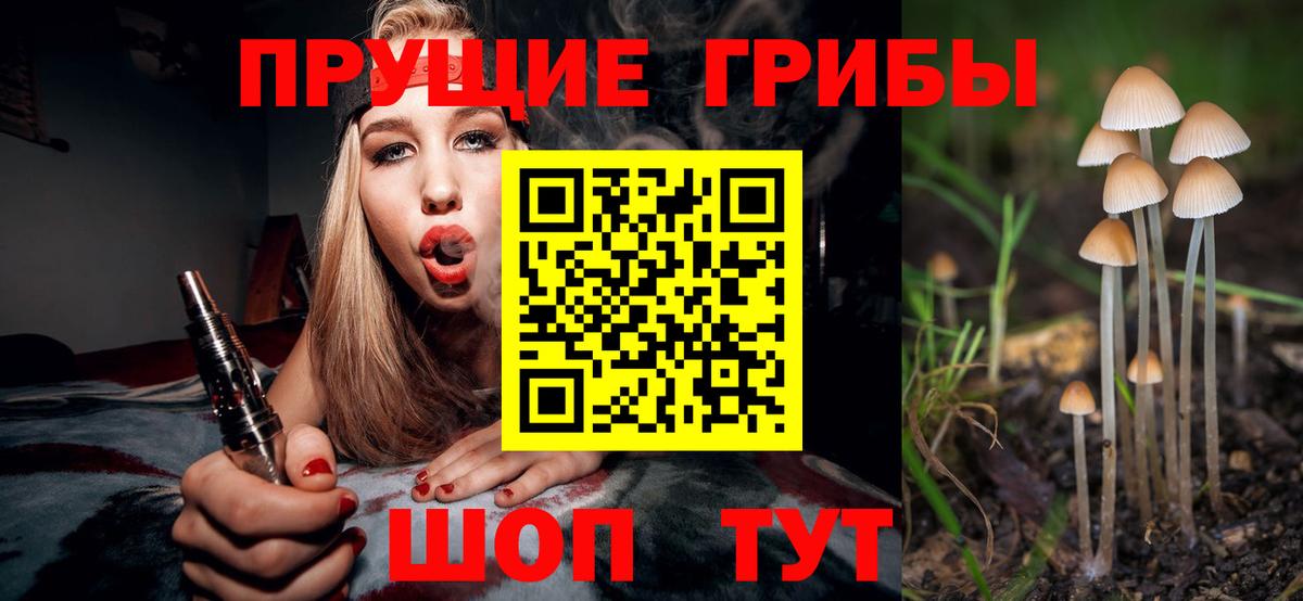 Псилоцибиновые грибы Magic Shrooms Губкинский